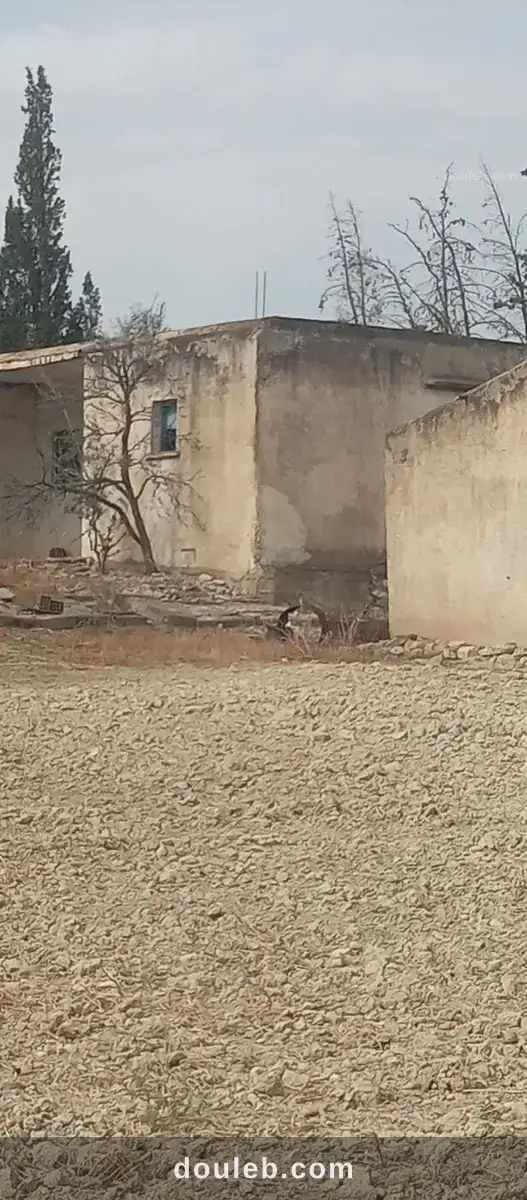 Terrain au bord de route à Tunis