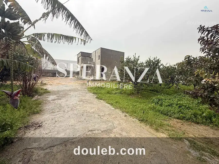 Terrain viviana à Tunis