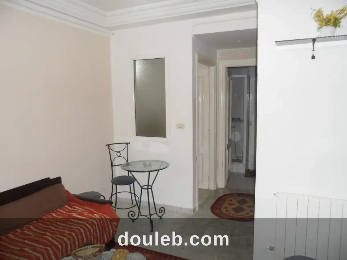 S1 meublé par nuitée 90dt à Tunis