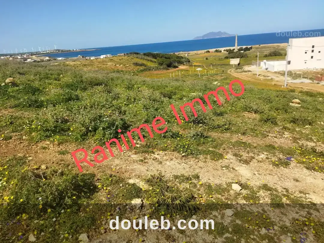 Terrain de 1520m2 a la mer el haouaria à Tunis