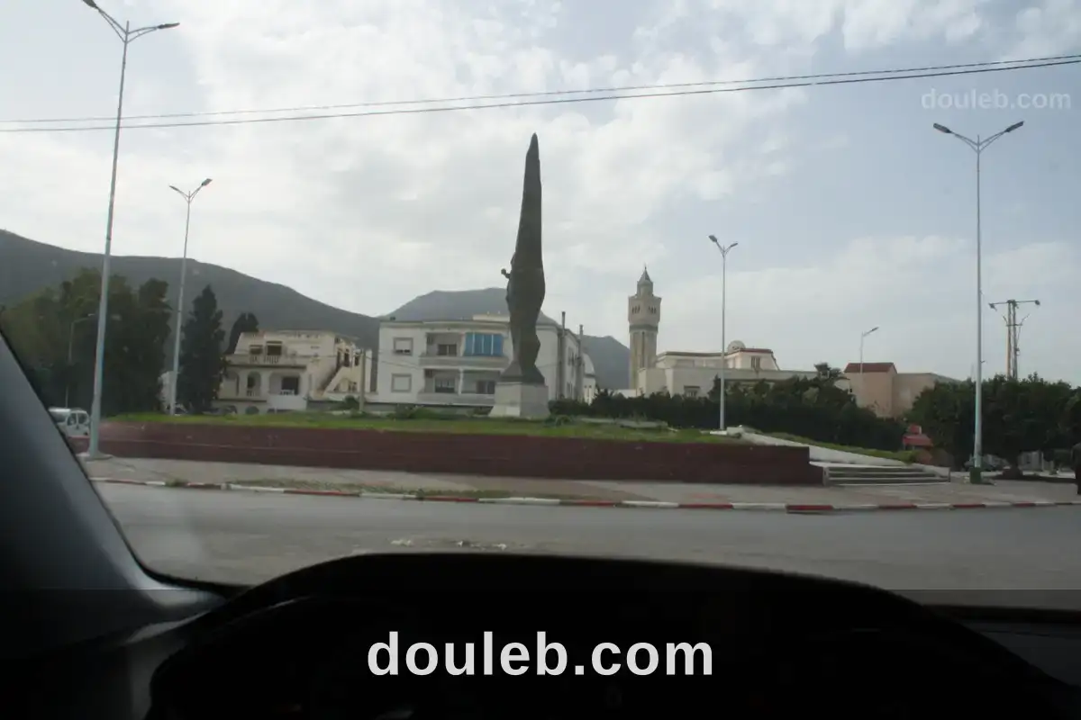 Gps terrain hnia vibilisé avec titre foncier à Tunis