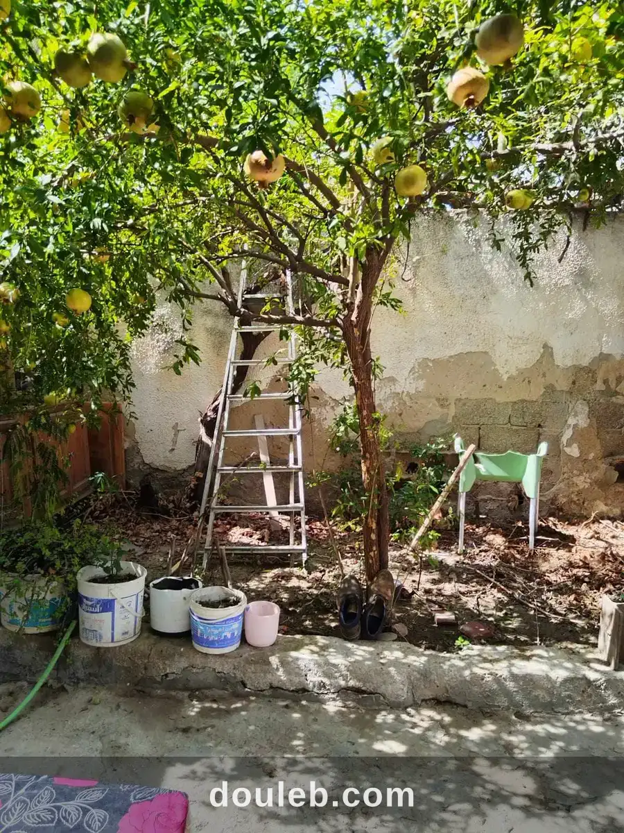 Maison stade ben arous à Tunis