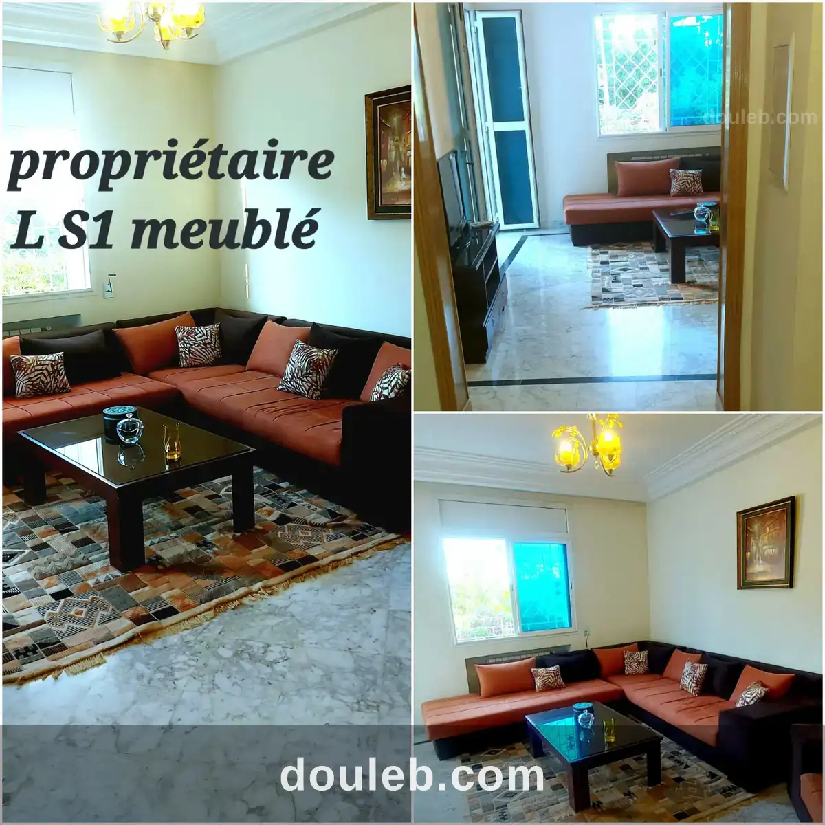 S1meublé excellent pour étranger à Tunis