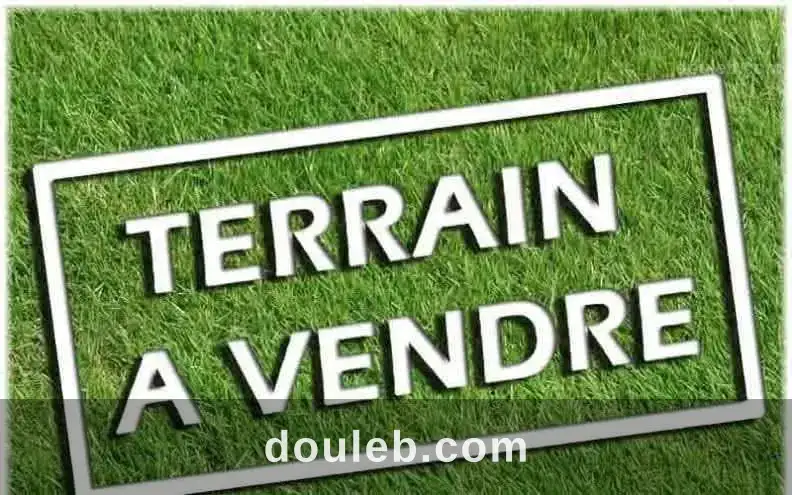 Terrain 290 md menzah 9c à Tunis