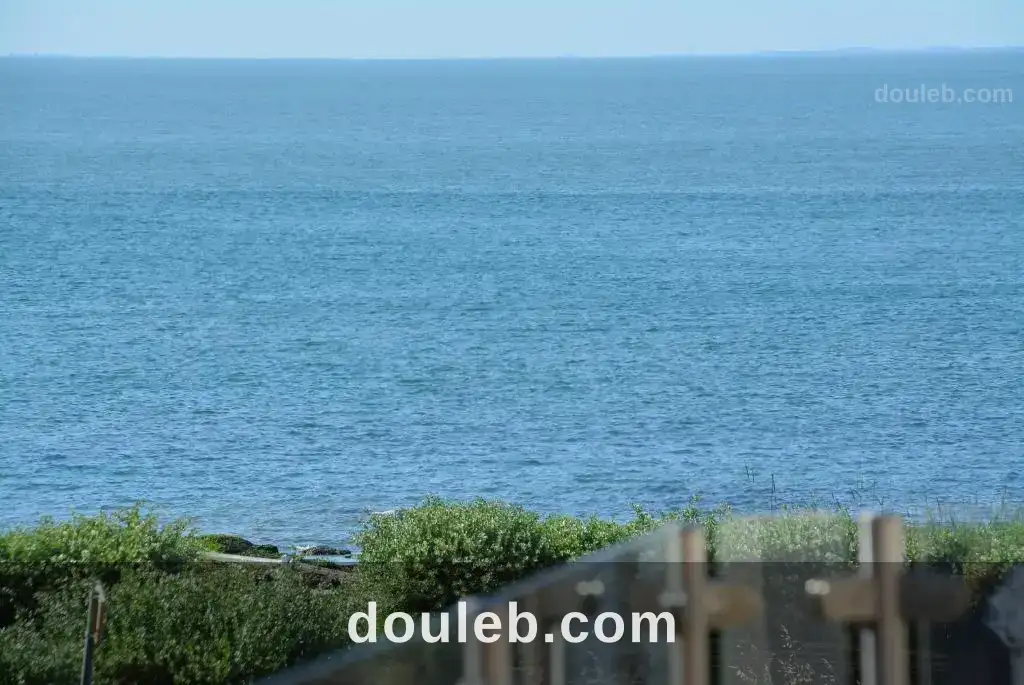 Occasion magnifique en or à Tunis