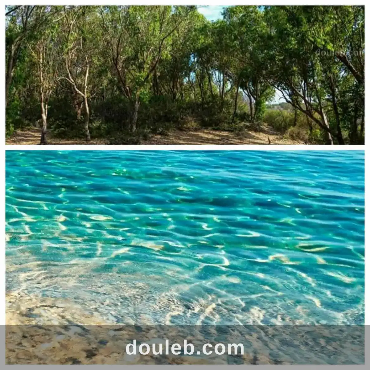 Un terrain de hammam elghezaz ezzahra à Tunis