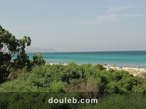 1 ha entre kelibia et dar allouche à Tunis