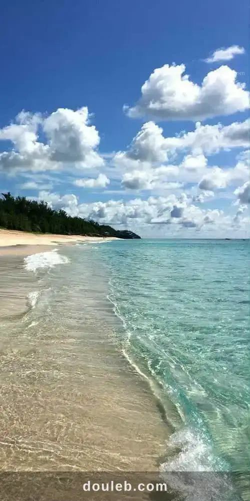 Un terrain de 1000 metre carre a ne pas rater à Tunis