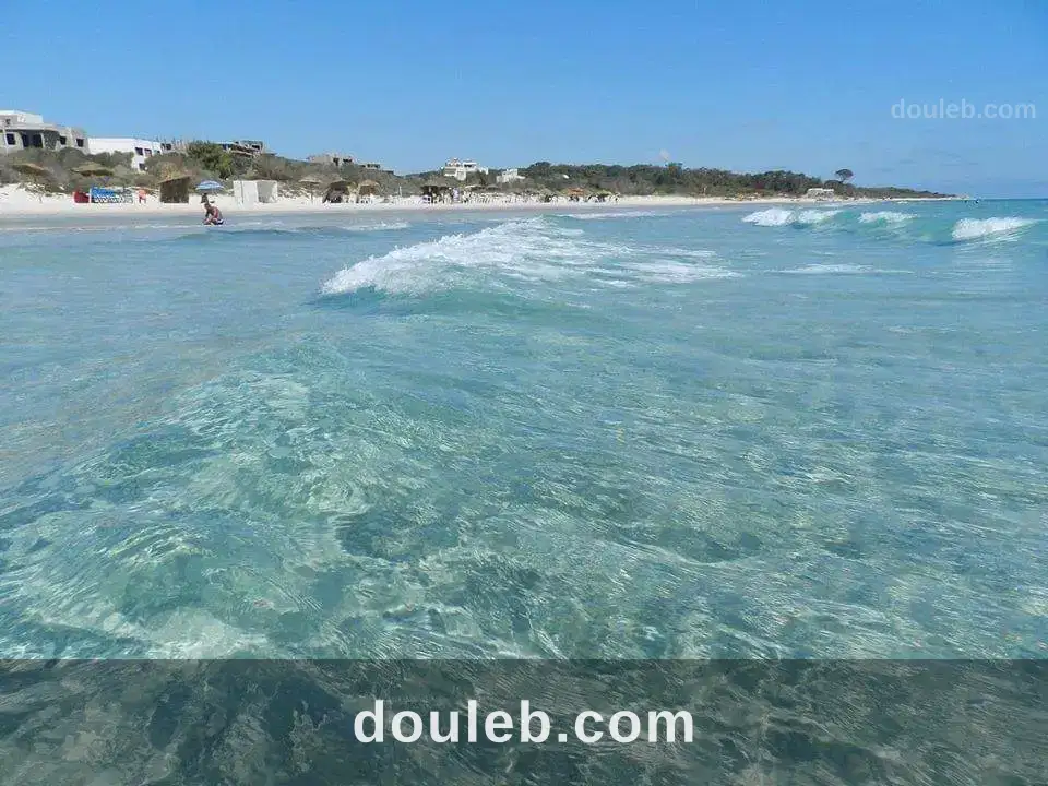 Une belle opportunité à hammem el ghezez à Tunis