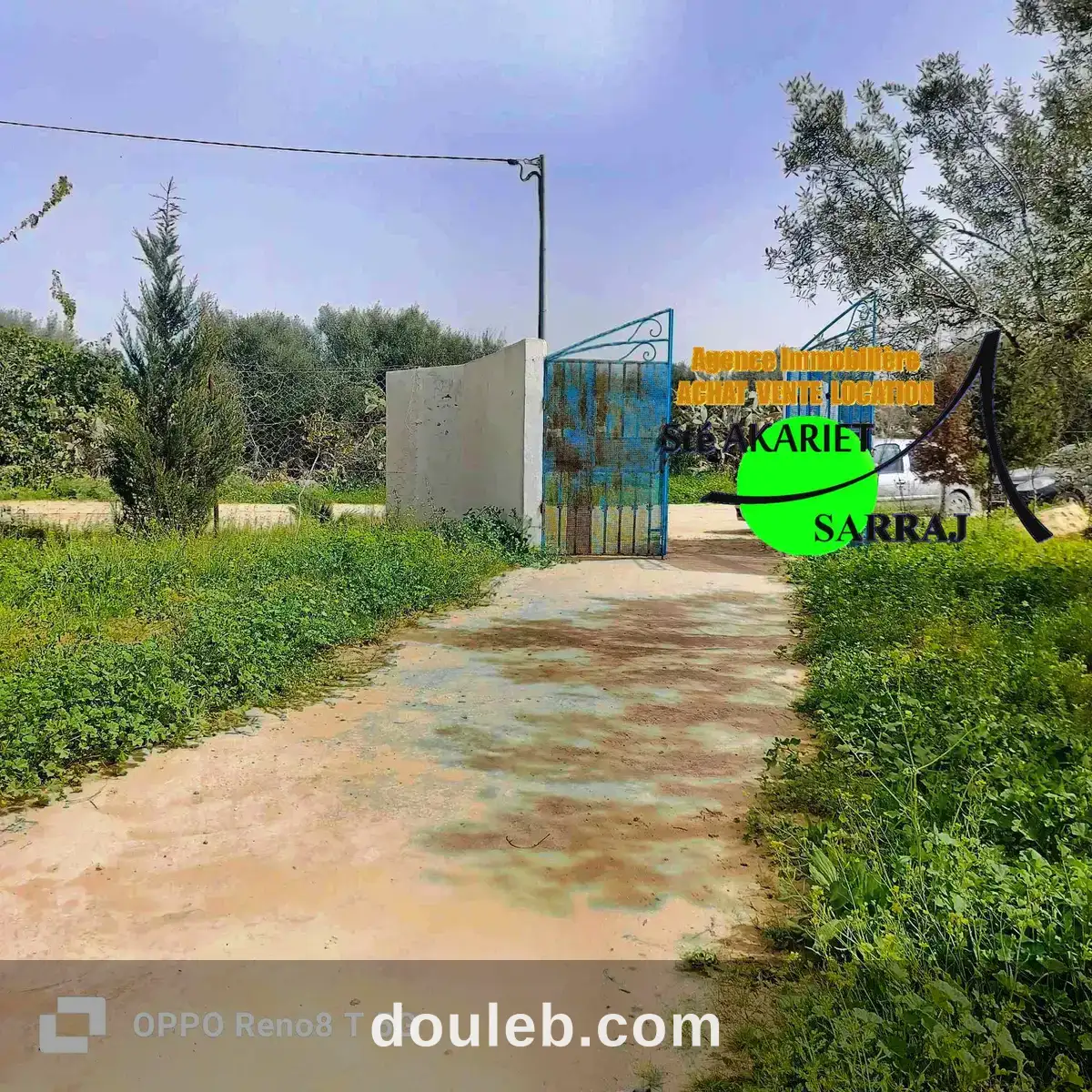 Senia 3000m prés de dar zitouna à sidi bouali à Tunis