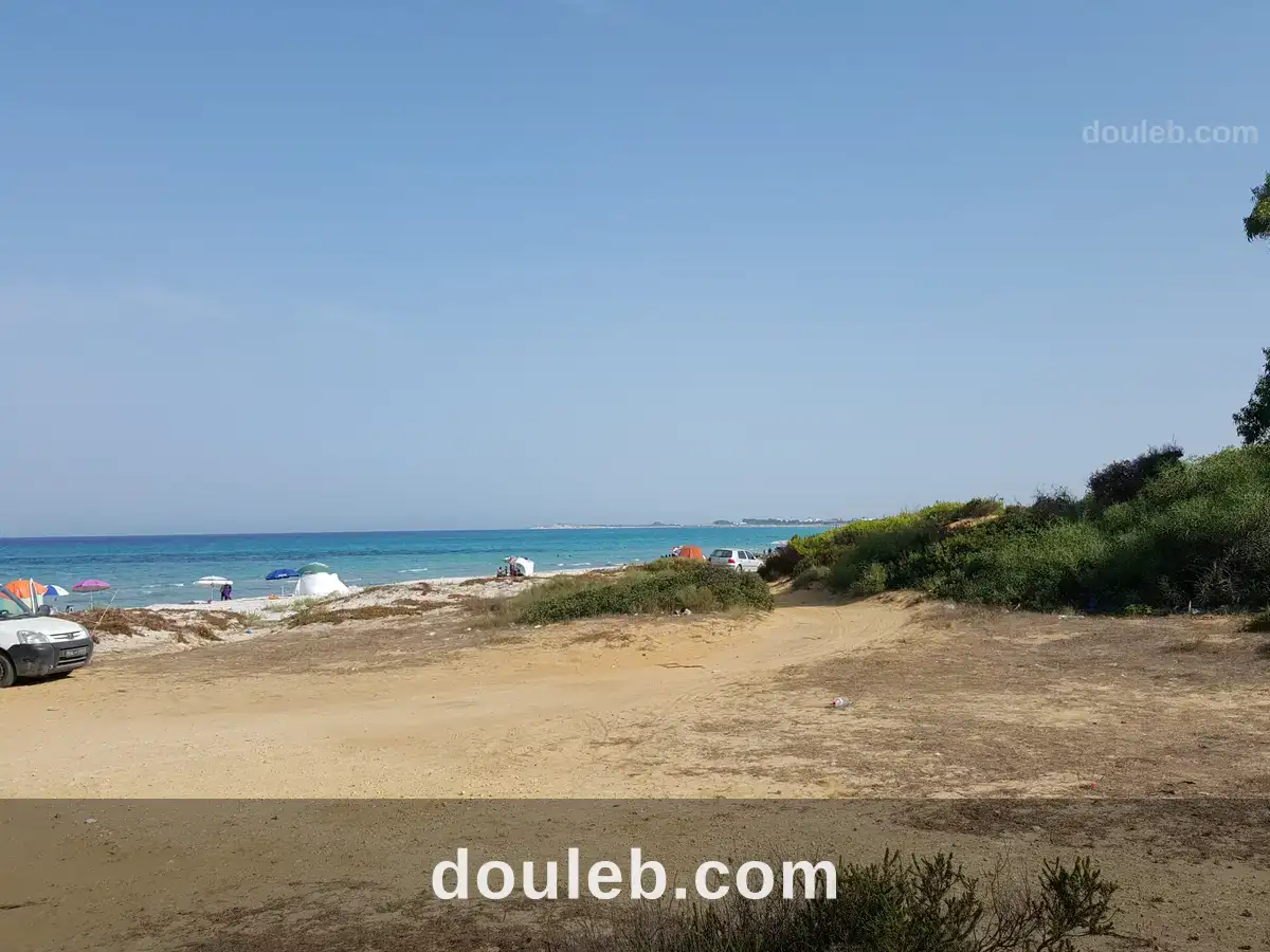 Un terrain magique a saisir à Tunis