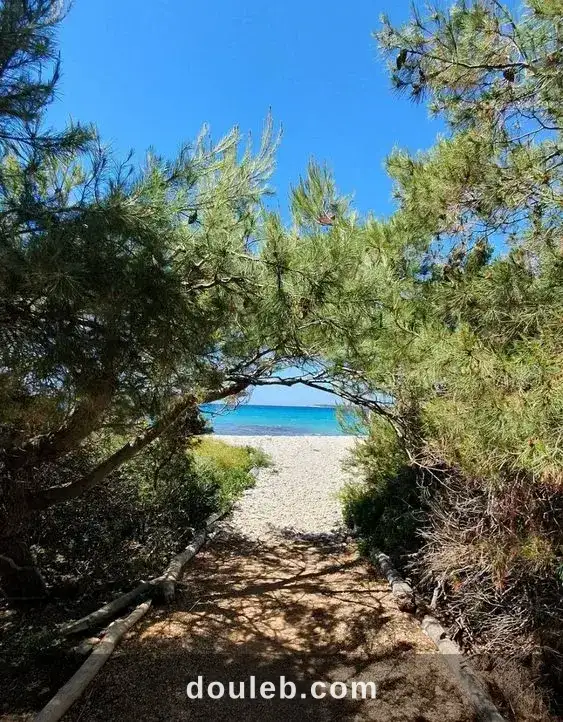 Un terrain a ne pas rater mgnifique à Tunis