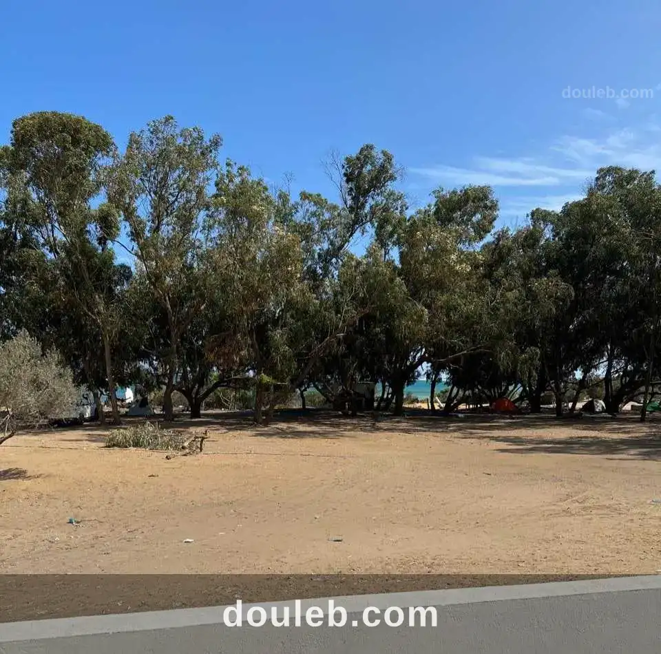 Un terrain pour investissement pres de kelibia à Tunis