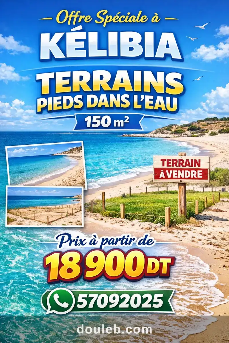 Offre à kelibia à Tunis