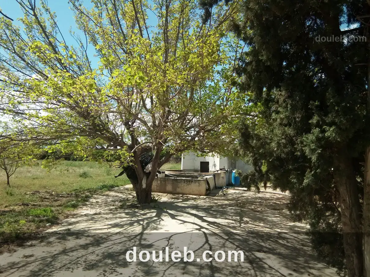 Ferme à naasseen à Tunis