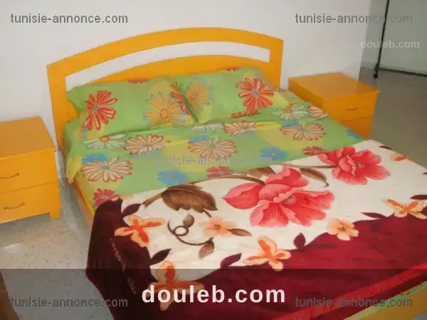 Luxueux s2 tout neuf à Tunis