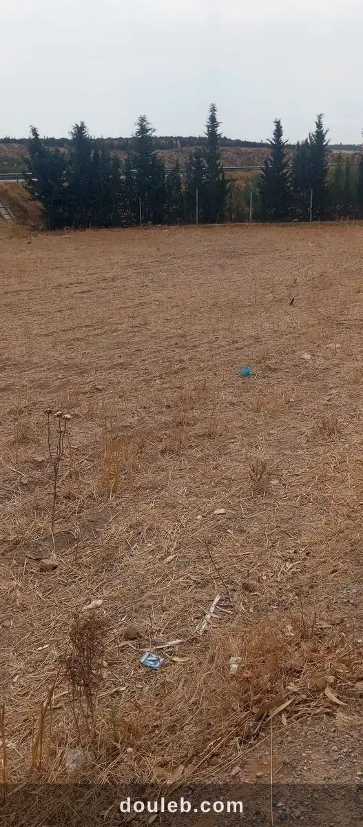 Terrain agricole à Tunis