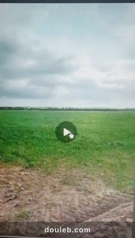 Siliana bon terrain à Tunis