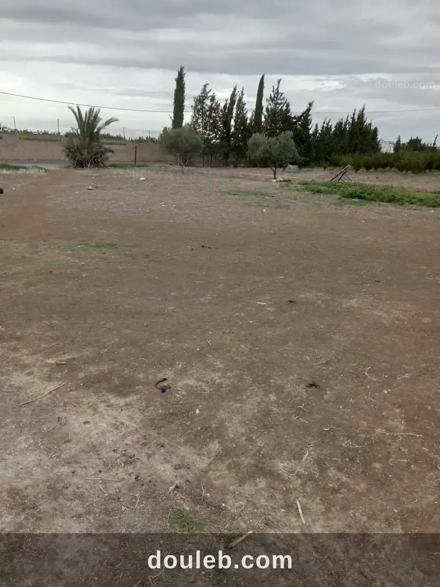 Terrain faicel à Tunis