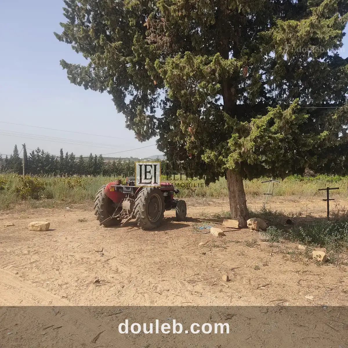 Une ferme de 12 hect à Tunis
