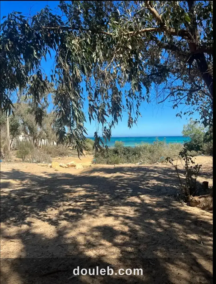 Un terrain de 1 ha cote kelibia à Tunis