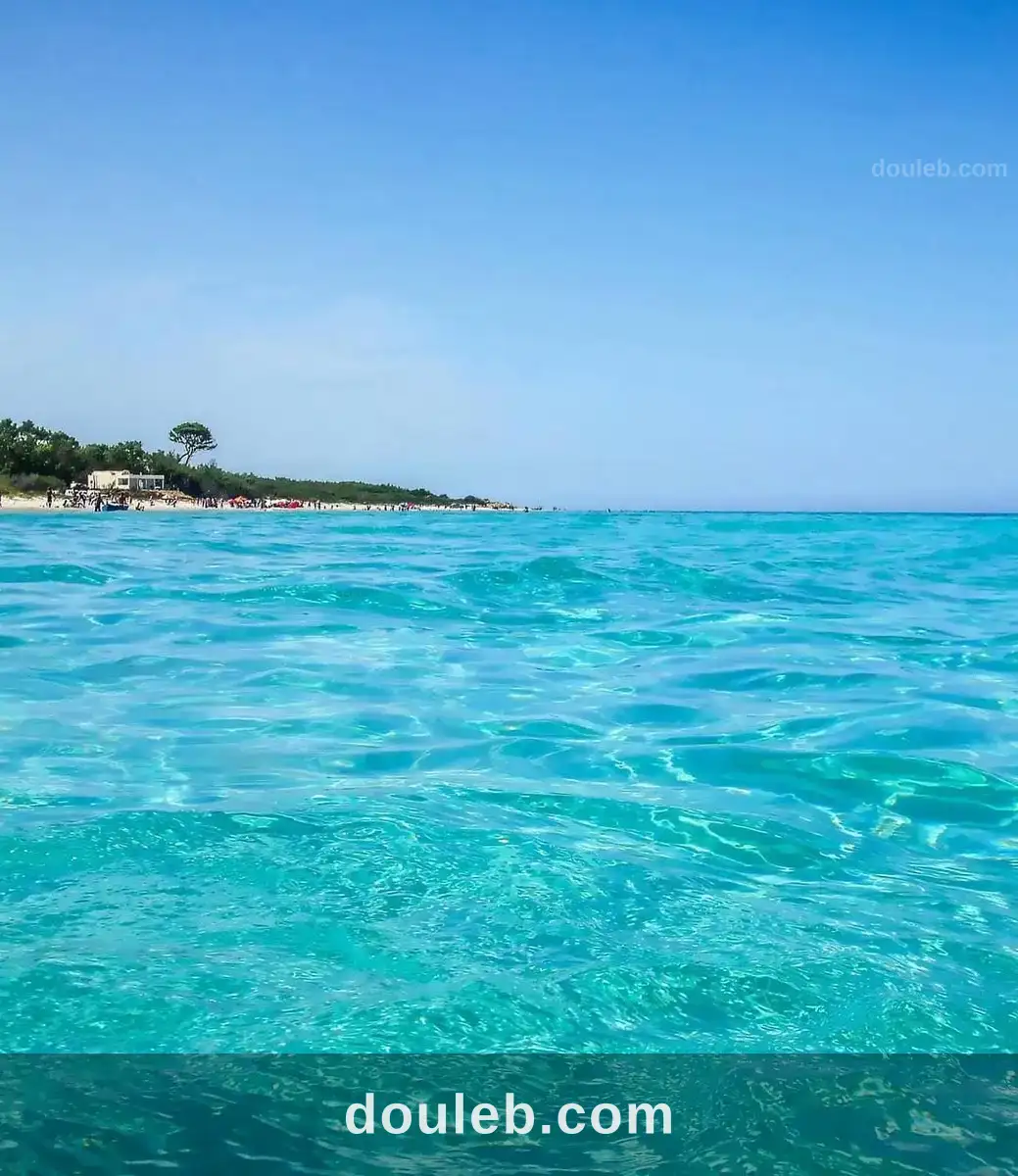 Un terrain magique de 1000 metre carre à Tunis