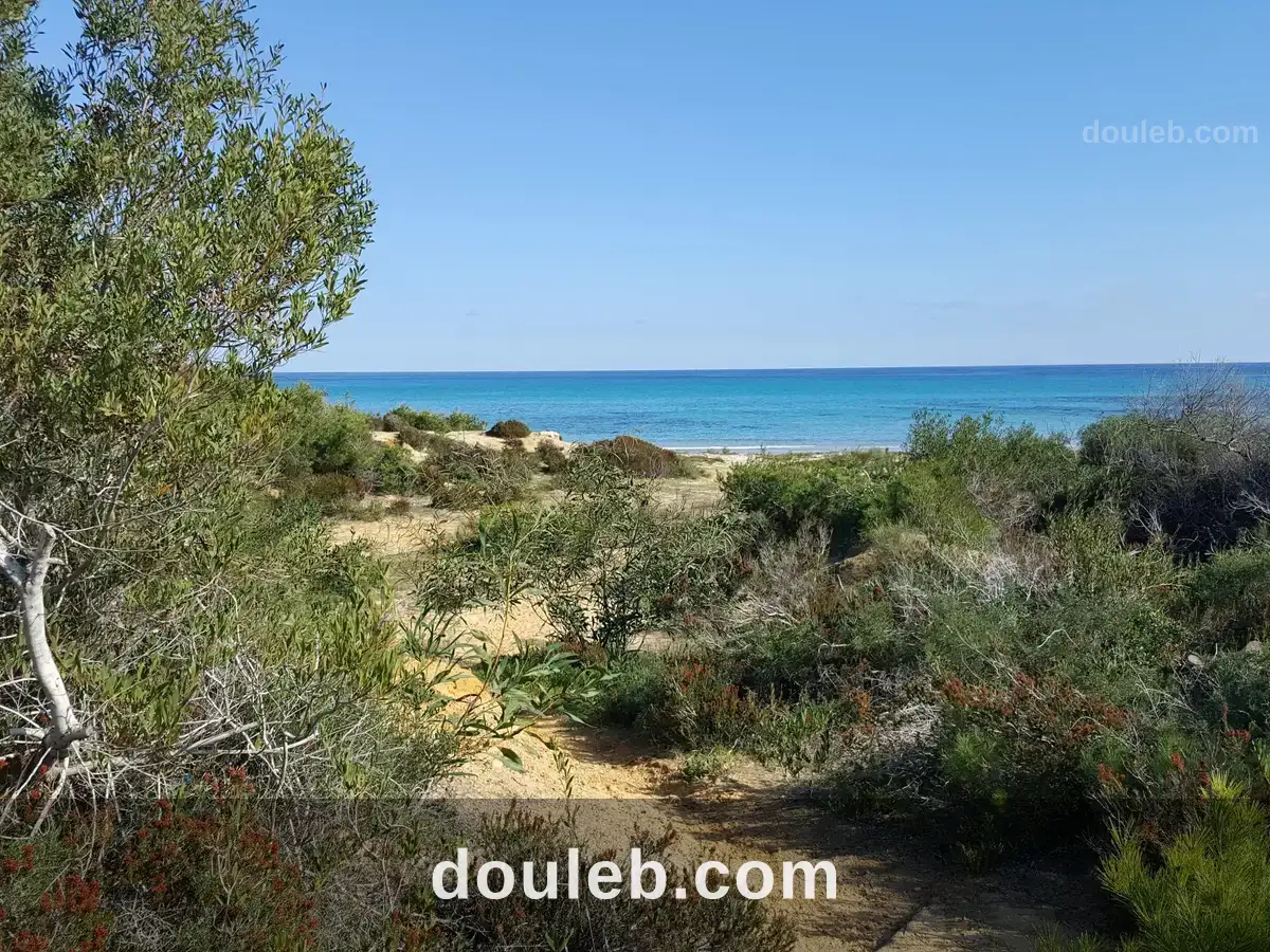 10000 metre carre magique à Tunis