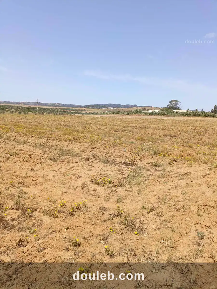 Av terrain 4900m pas loin de hammamet yasmine à Tunis