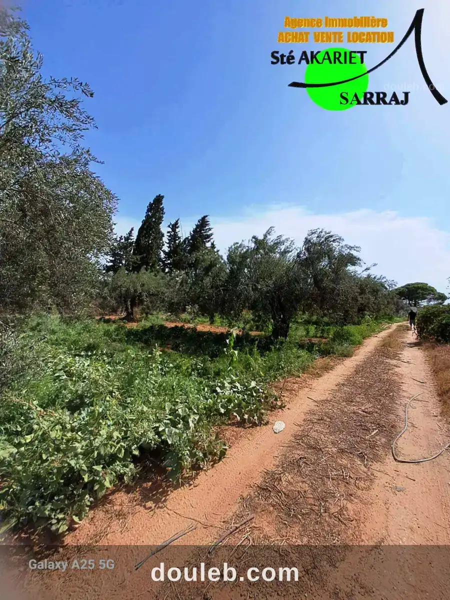 Senia clôturé 2 hectares et 600m à sidi bouali à Tunis