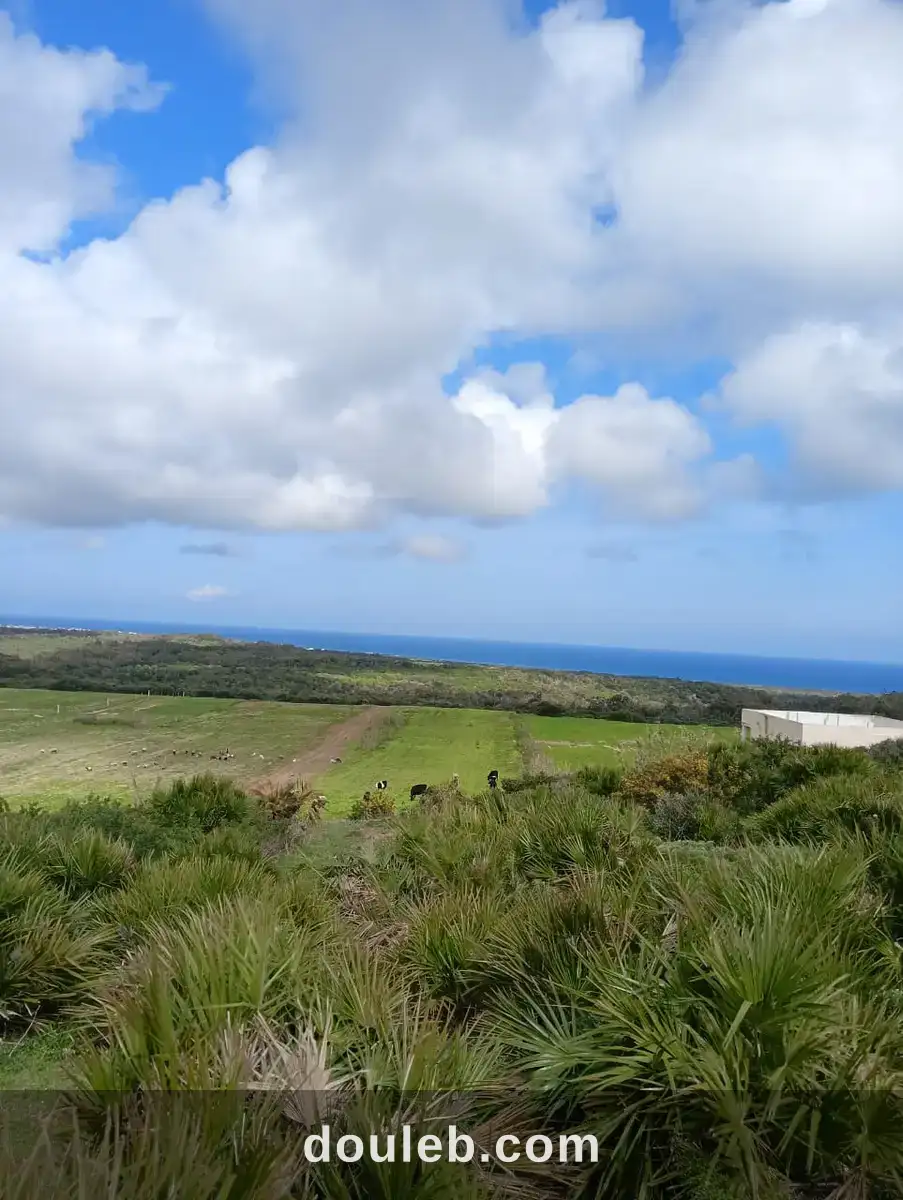 Terrain à saisir à Tunis