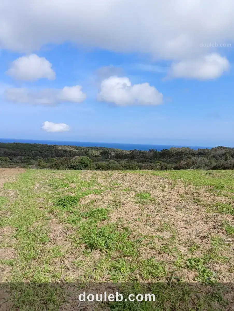 Terrain vue dégagée à Tunis
