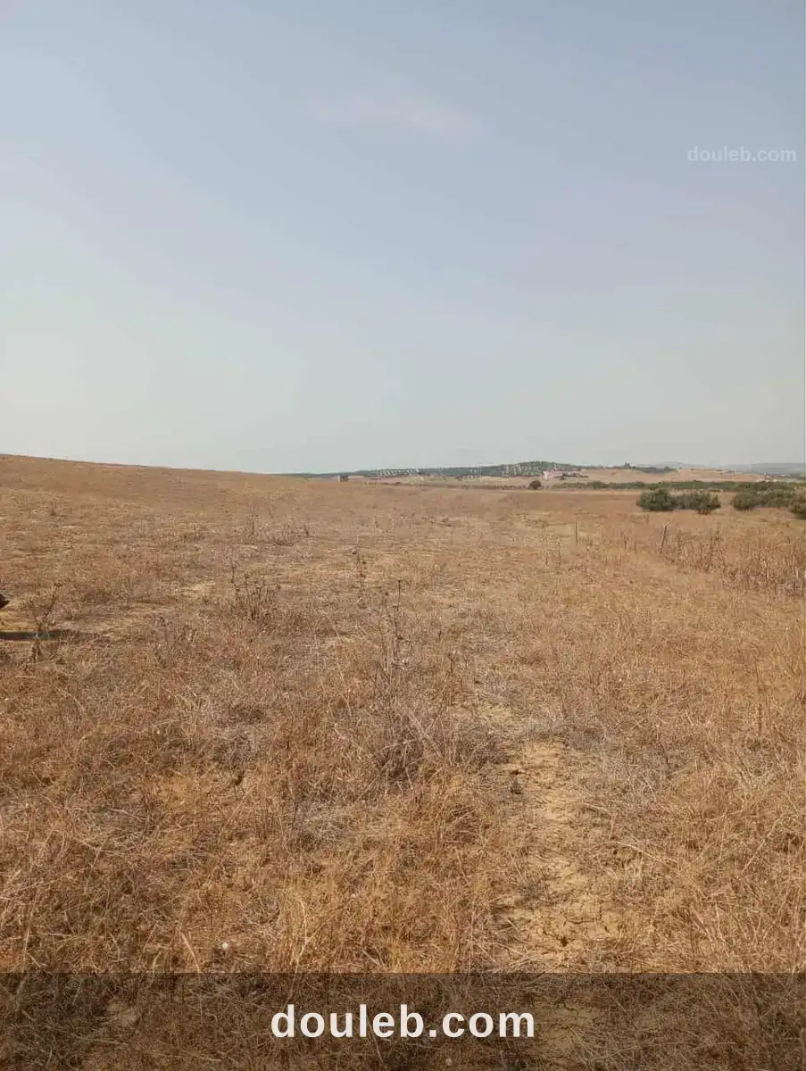 Av terrain 7 hectares route zaghouan hammamet à Tunis
