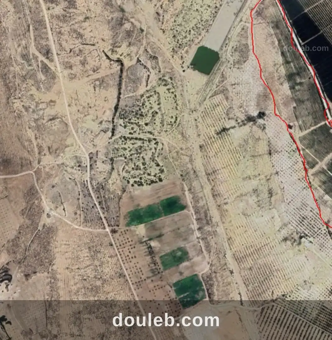 Un terrain agricole à Tunis