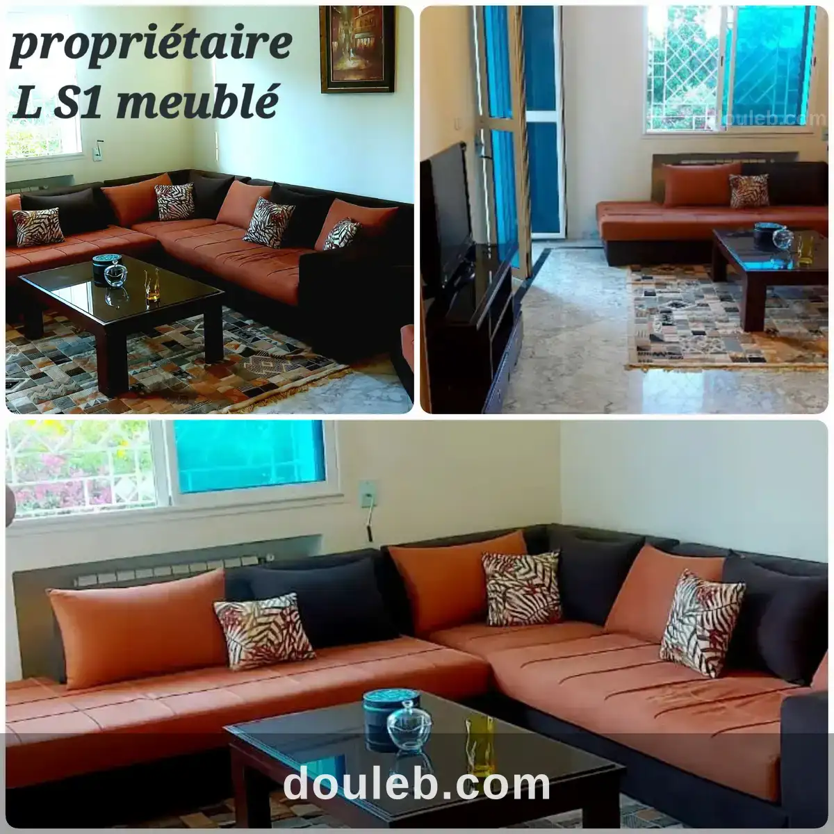 Particulier l à l'année s1 meublé à ennasr2 à Tunis