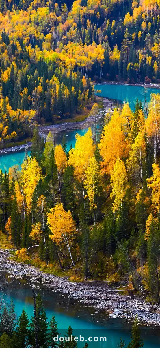 Studio a ariana à Tunis