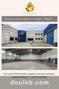 A usine avec 4 ateliers et ref1454a à Tunis