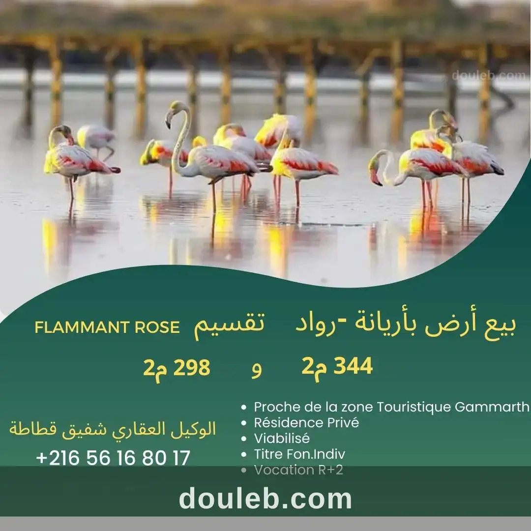 Raoued plage lot flammant rose vnt ter à Tunis