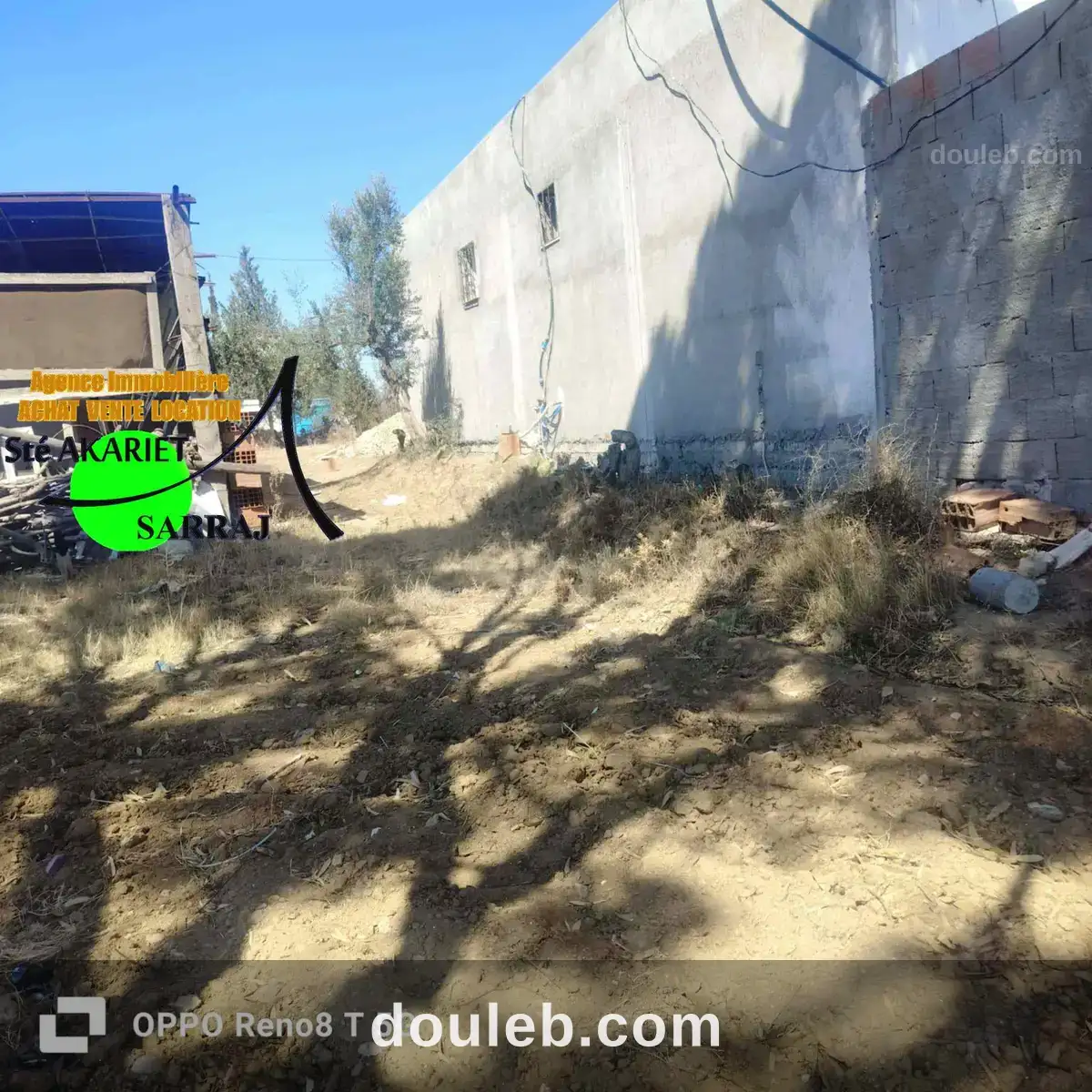 Senia 1hectare et 6000m à kalaa seghira à Tunis