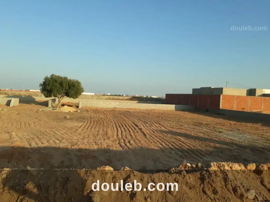 Terrain 928 m2 à rt gremda km11 rocade sfax à Tunis