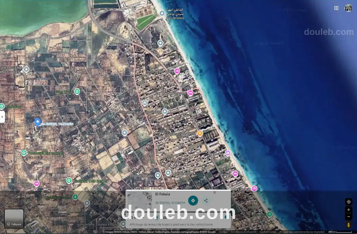 Occasion terrain agricole 2200m el fokaia à Tunis