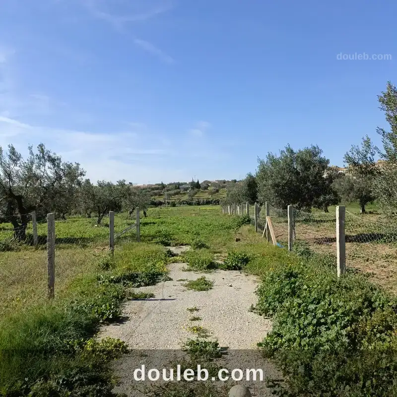 Av terrain 1680m à hammamet sud monchar à Tunis