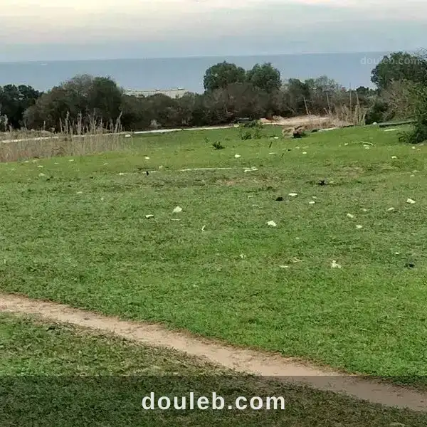 4000m2 seulement a 70000 dt à Tunis