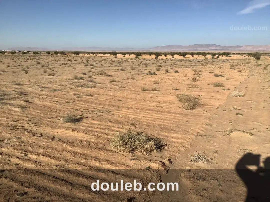 Profiter l'occasion à Tunis