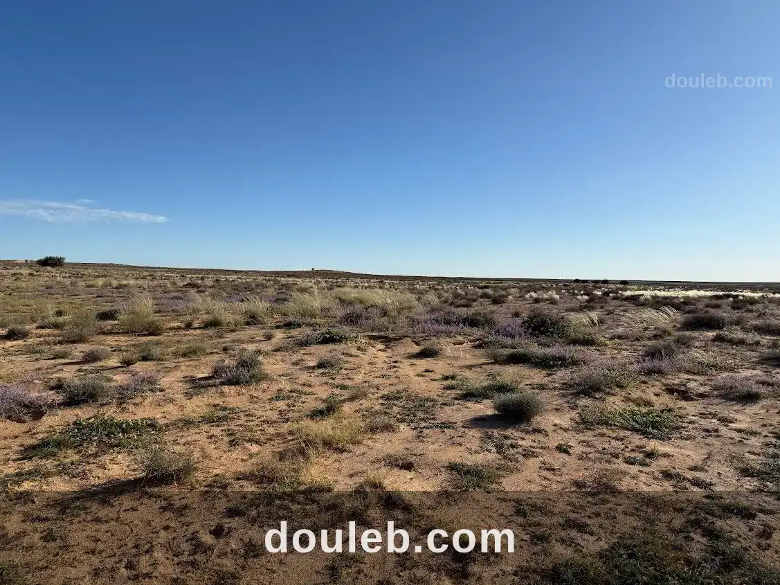 Grande surface agricole à Tunis