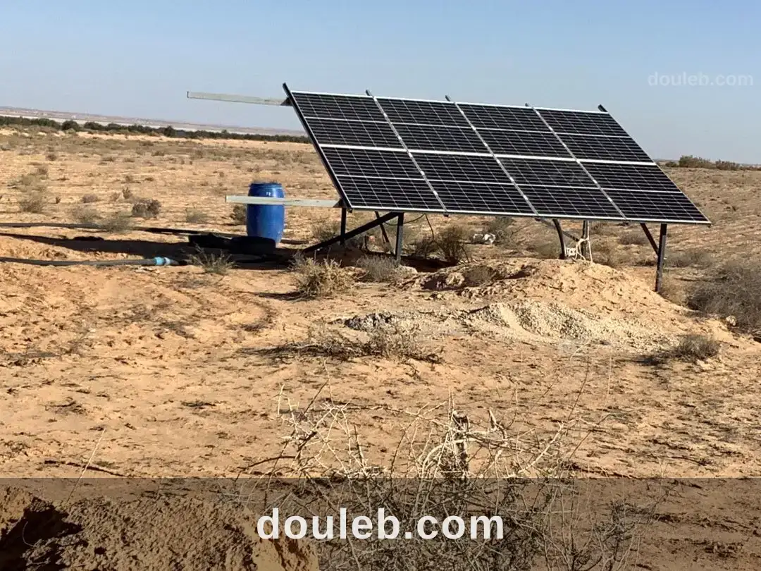 Occasion d'or à Tunis