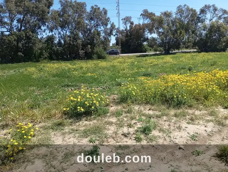 Terrain commercial elhaouaria à Tunis