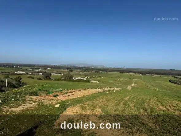 Lotissement azmour à Tunis