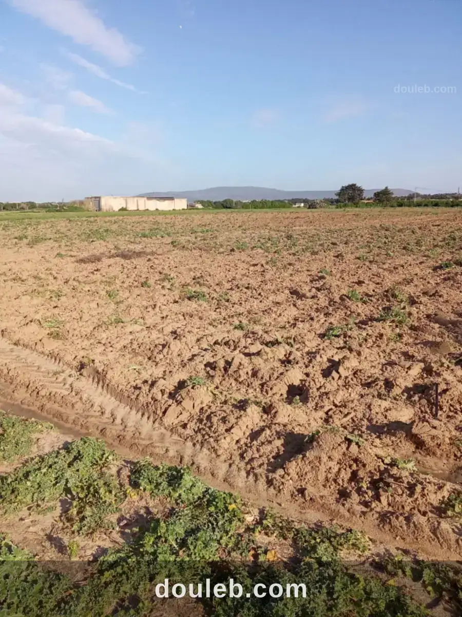 3000m2 seuelement a 120000 dt à Tunis