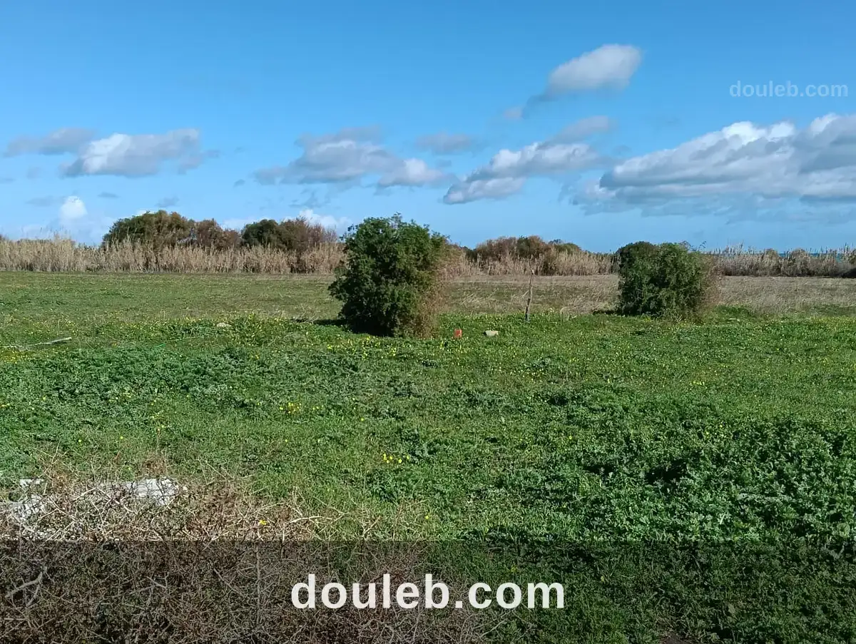 Terrain chat vue mer à Tunis