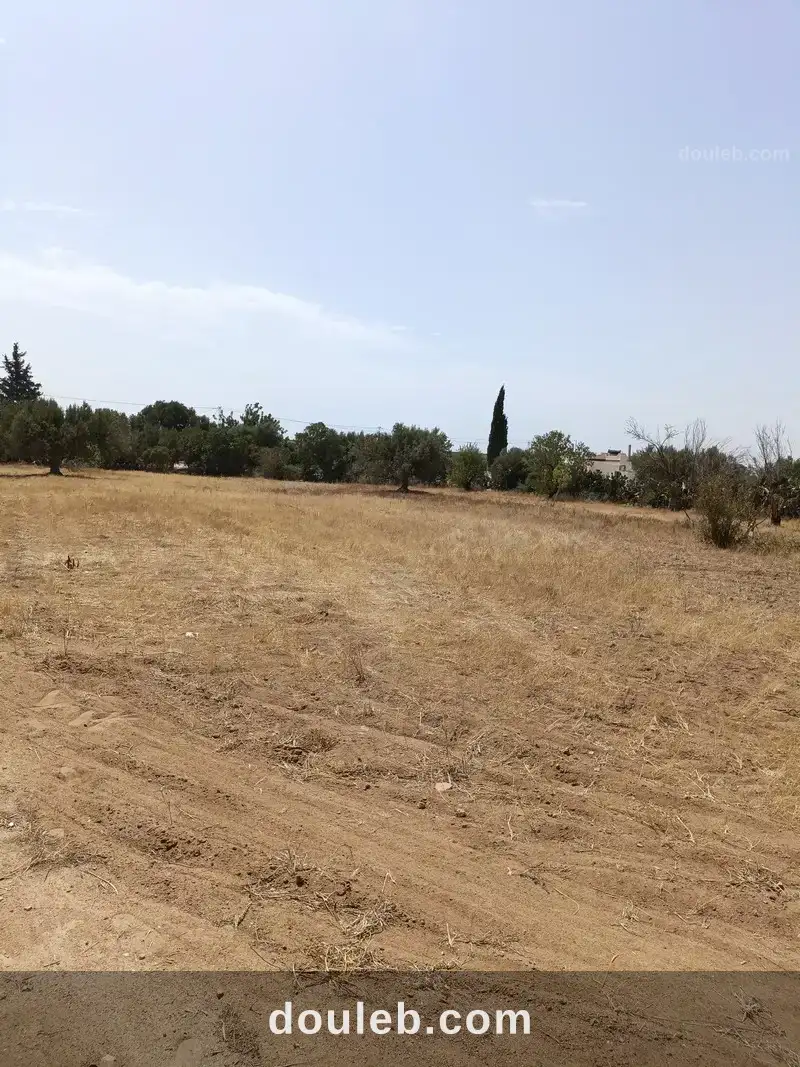 Av terrain 2100m sur la route à sidi mtir à Tunis